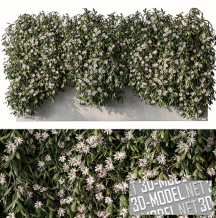 3d-модель Ампельное растение с белыми цветами в бетонном контейнере
