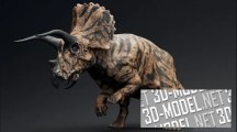 3d-ассет: Triceratops