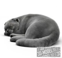 3d-модель Лежащая кошка