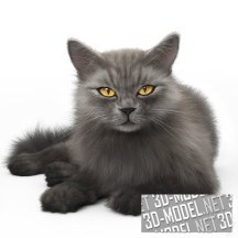 3d-модель Дымчатый кот