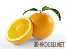 3d-модель Апельсин с половинкой