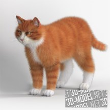 3d-модель Пушистый рыжий кот