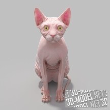 3d-модель Кот породы Сфинкс